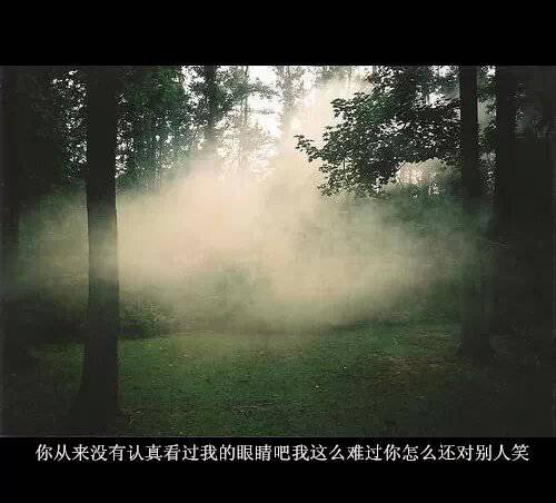 伤感意境图片个性带字