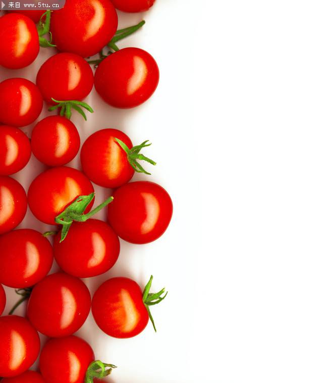 创意番茄植物图片