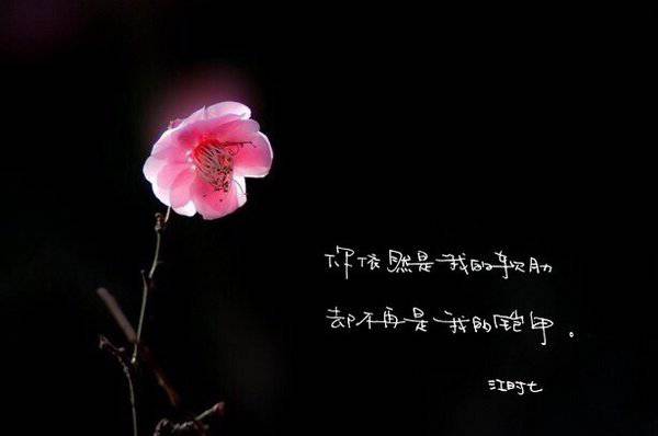 2016最新唯美意境非主流带字图片