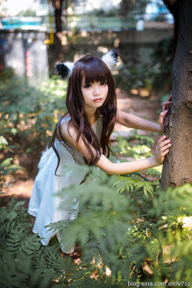 90后双耳超萌美眉COS流浪猫