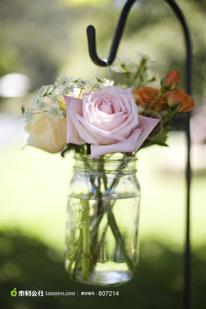 玻璃瓶里的粉色玫瑰浪漫植物风景