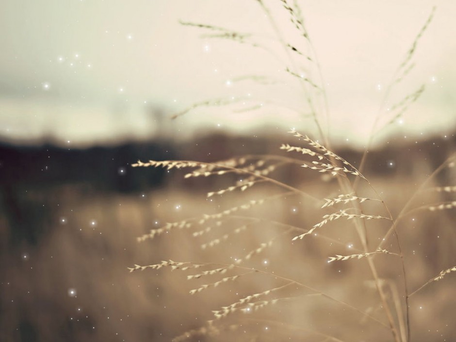 背景图片大全 小清新简约风格素材