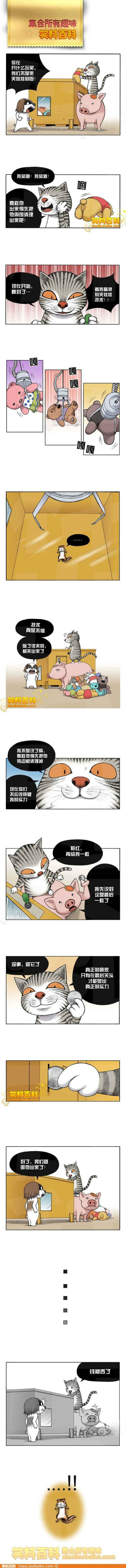 邪恶漫画爆笑囧图第284刊：多谢师姐