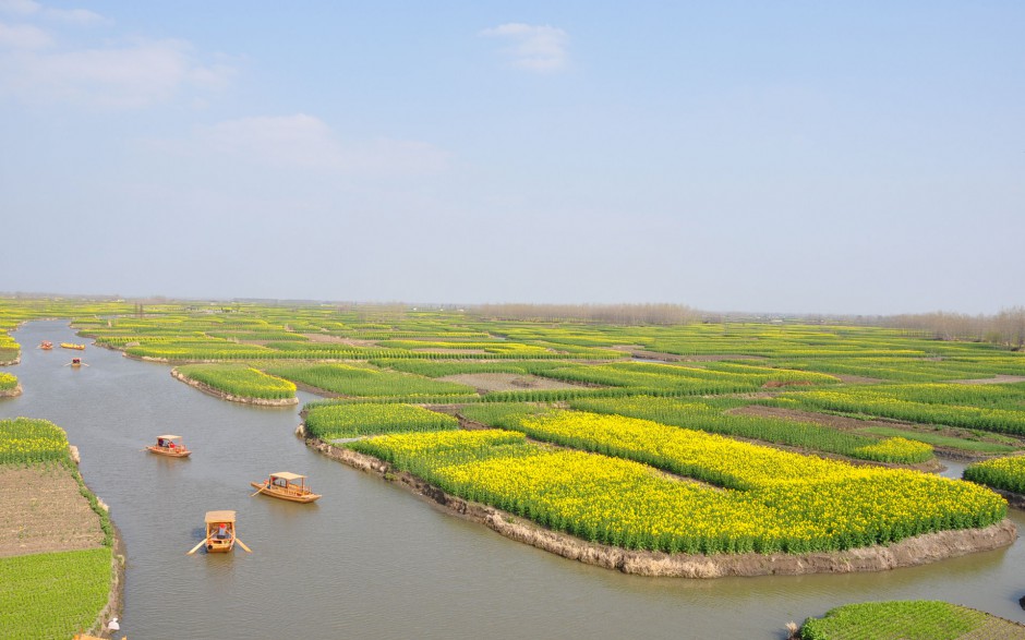 油菜花花田浪漫风景高清精美图集