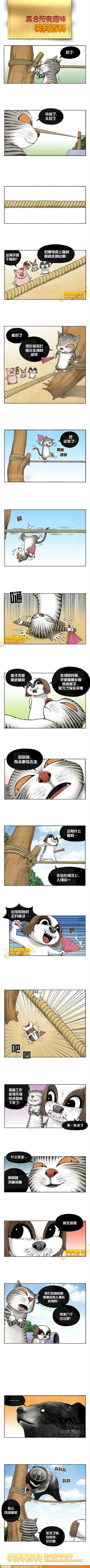 邪恶漫画爆笑囧图第290刊：三国那点事