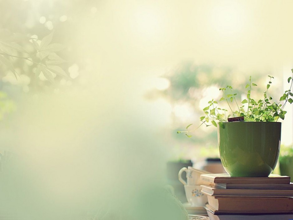 高清背景图片 淡雅小物件