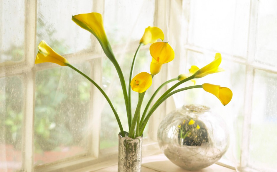 清新文艺的花瓶静物壁纸