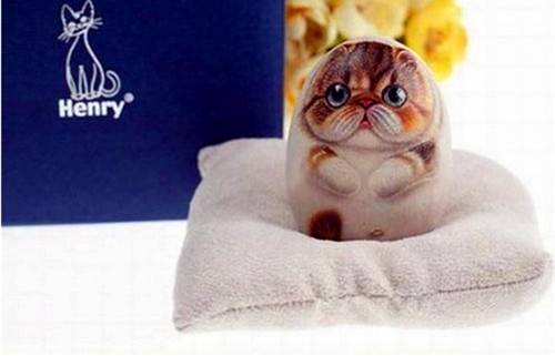 可爱萌手绘石头漫画猫咪图片