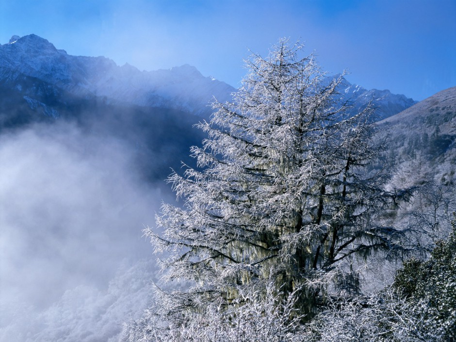 大自然雪景唯美寂静桌面壁纸