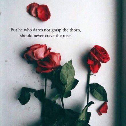 手捧的不是玫瑰而是对你的爱