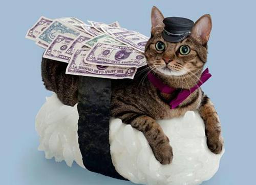 创意猫咪寿司可爱卖萌猫图片