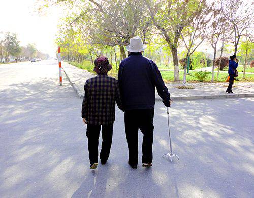 老年甜蜜夫妻意境图