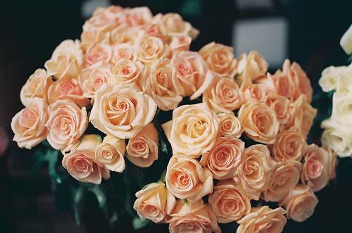 人已走茶已凉 还能剩下什么