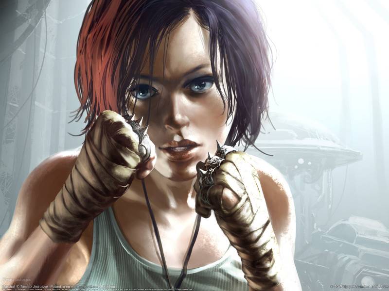 性感美女游戏角色高清壁纸大全