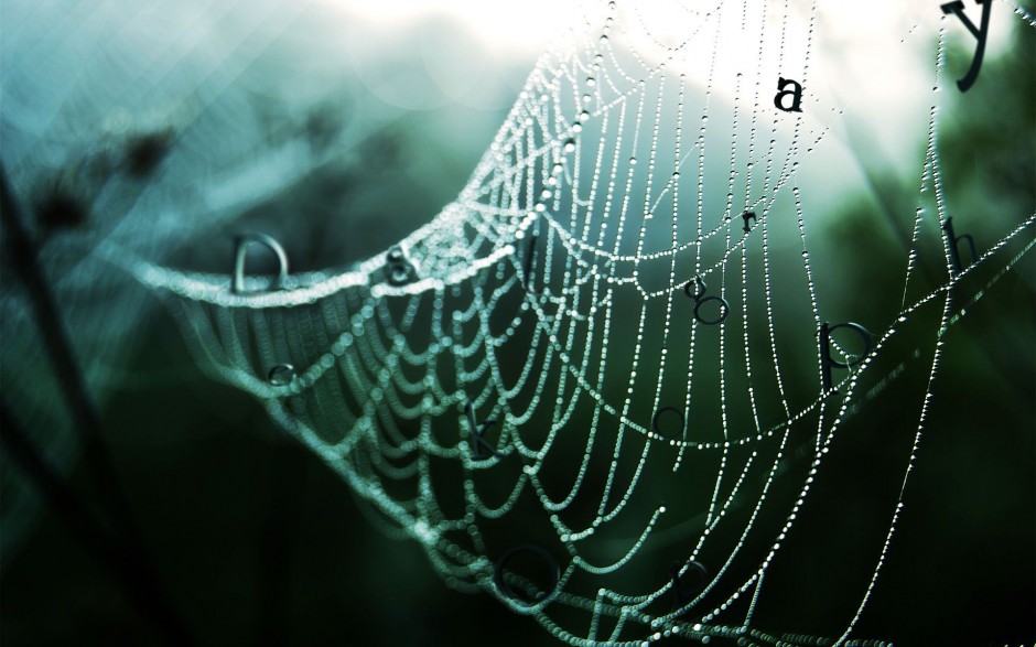 蜘蛛网上的水珠精美背景素材