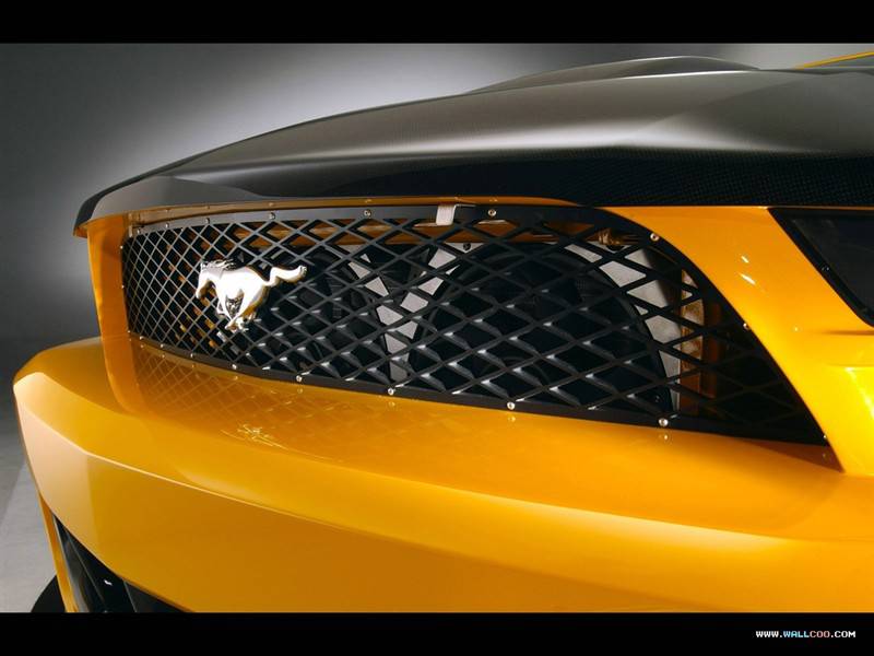 橙色福特野马GT-R概念车高清图片