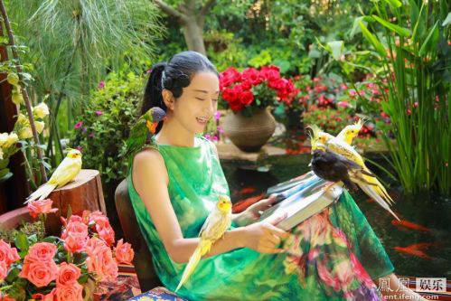 杨丽萍家中看书小鸟相伴 容颜不老如仙女