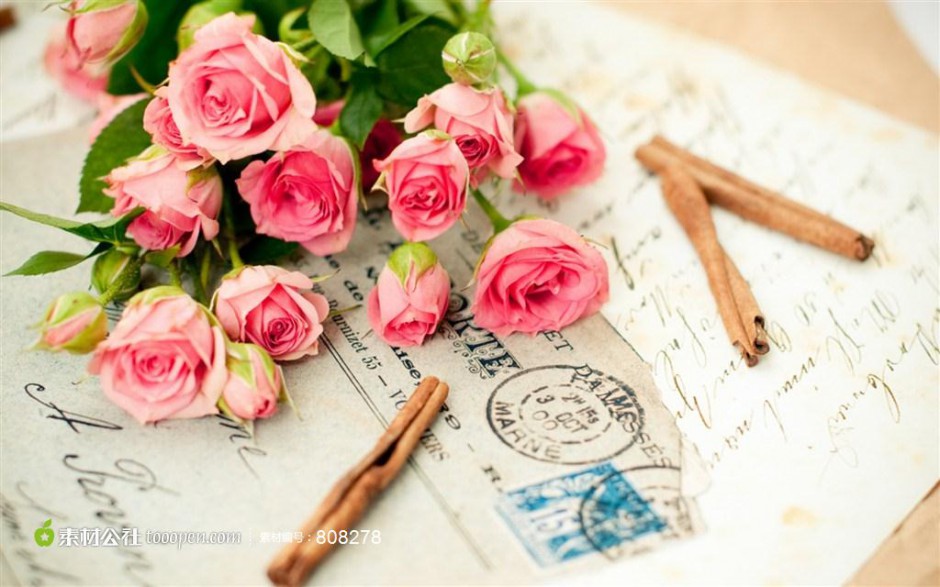 粉色玫瑰花束浪漫图片素材