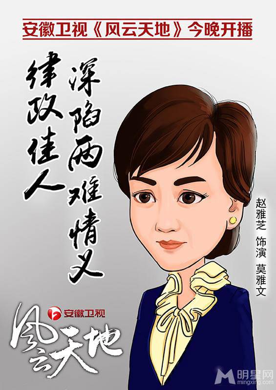 家族争斗电视剧《风云天地》漫画版海报