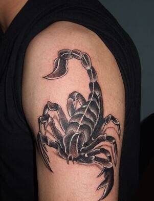 个性手臂蝎子图腾纹身图案