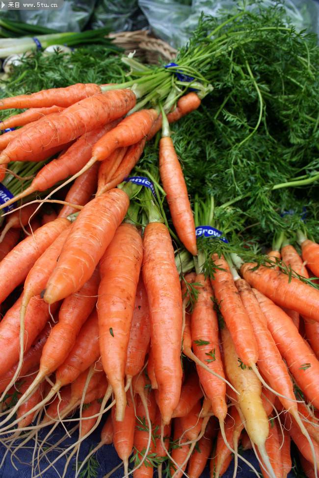 新鲜的胡萝卜蔬菜图片