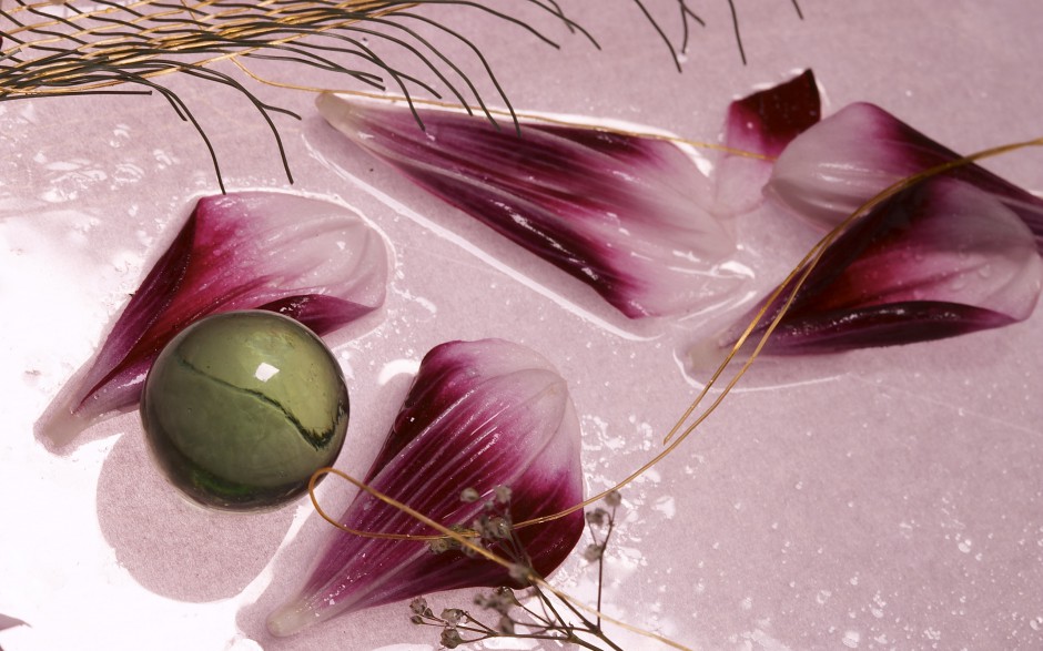 姿态万千的鲜花特写高清大图