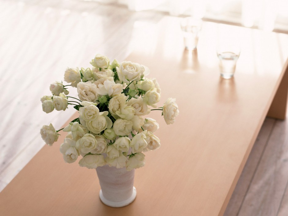 高清室内小清纯花朵桌面壁纸