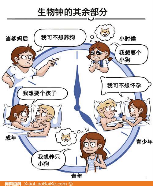 邪恶漫画爆笑囧图第287刊：咦 美女