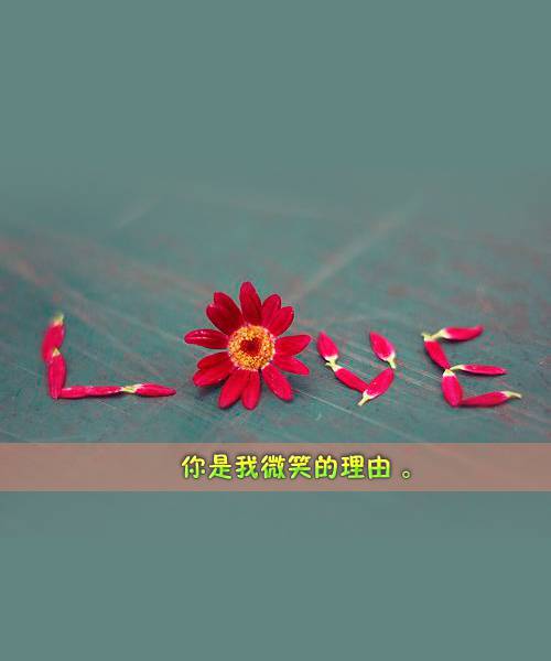qq唯美个性图像非主流带字素材