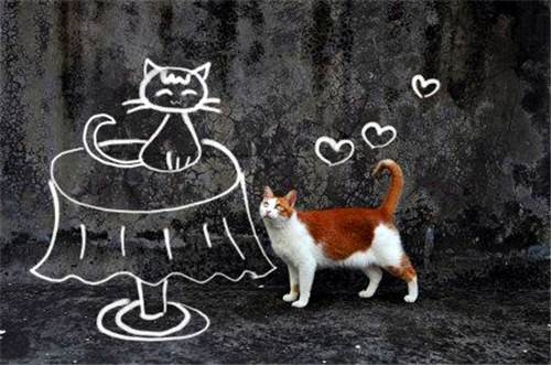 猫咪漫画萌图片精致可爱