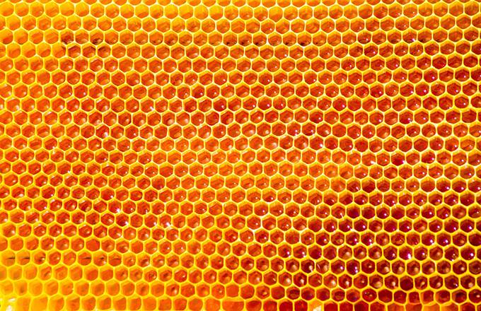 金色蜂巢蜜糖花纹背景图片