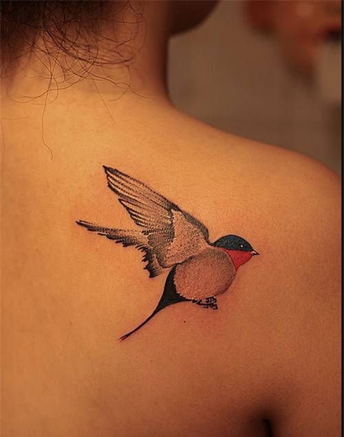 美女后背小鸟刺青纹身图片清新美丽