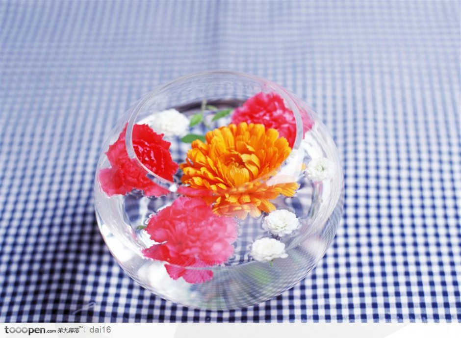 鱼缸中的花瓣高清图片