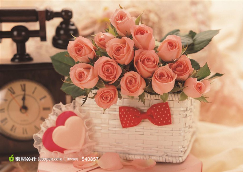 可爱花篮里的玫瑰唯美图片