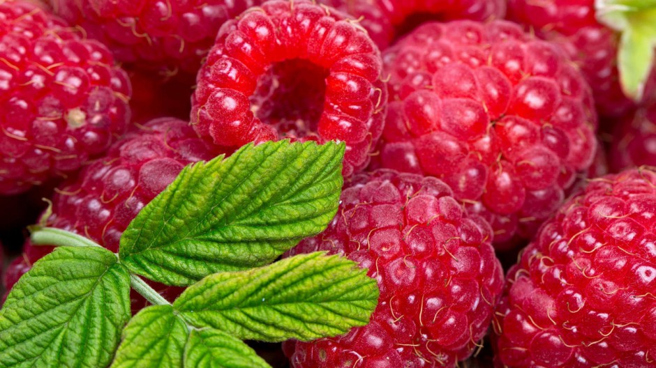 精美壁纸树莓水果美食图片大全