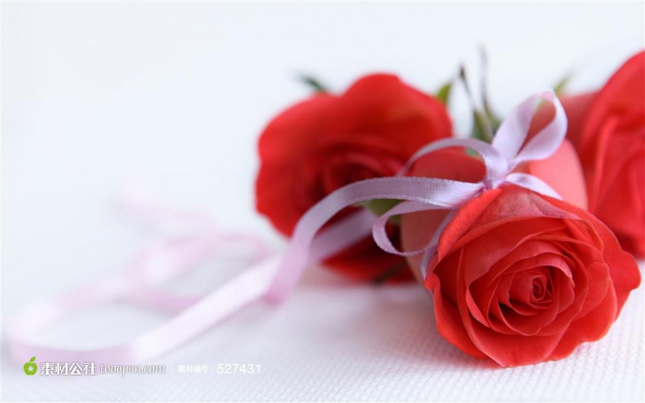 艳丽的红玫瑰高清图片