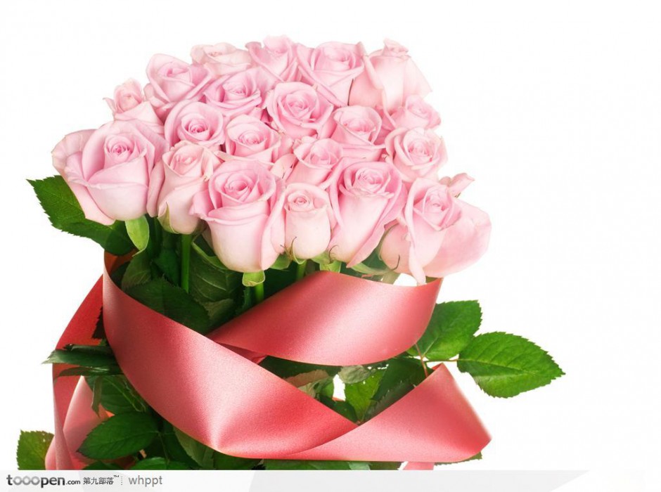 玫瑰花粉色背景图片素材