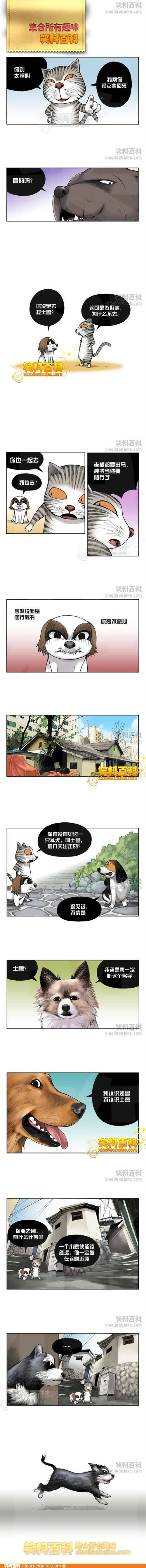 邪恶漫画爆笑囧图第266刊：电车之狼的悲剧