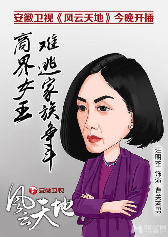 家族争斗电视剧《风云天地》漫画版海报