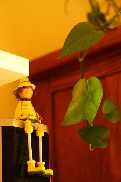 混搭风格70平米小平房唯美小清新装修图片