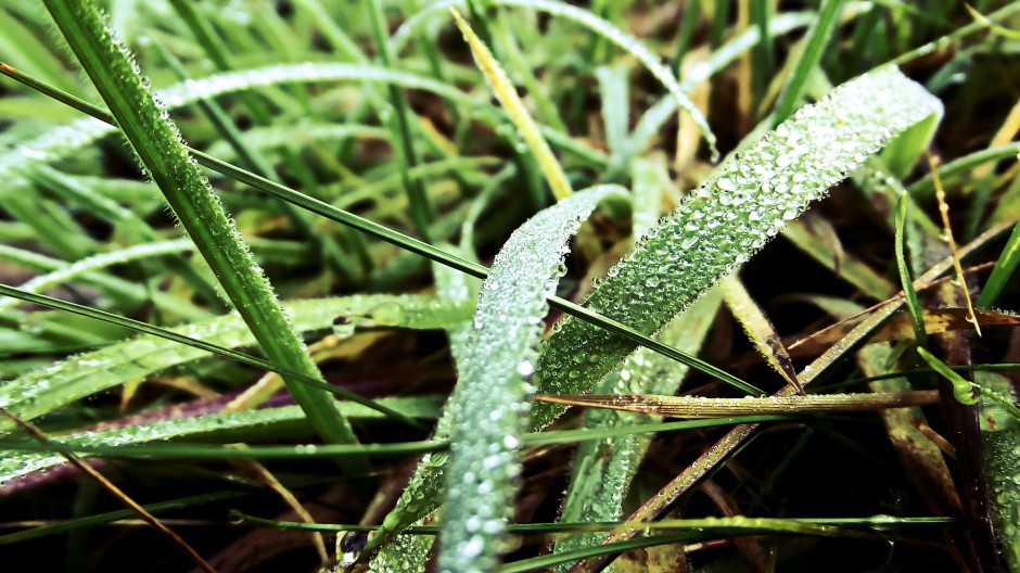 清新雨露浪漫风景个性高清电脑壁纸