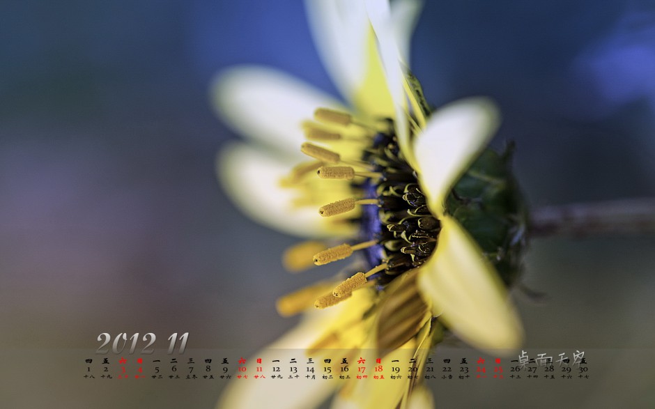 2012年11月高清桌面壁纸图集