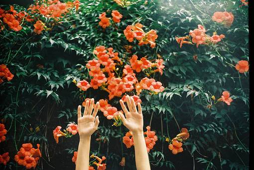 非主流暖色系个性唯美潮流图片