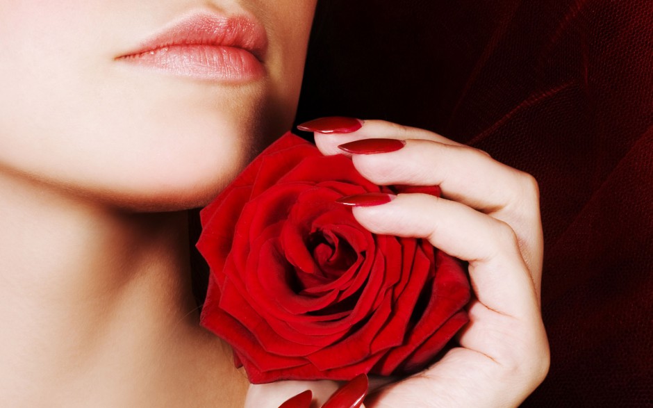 艳丽动人的玫瑰写真