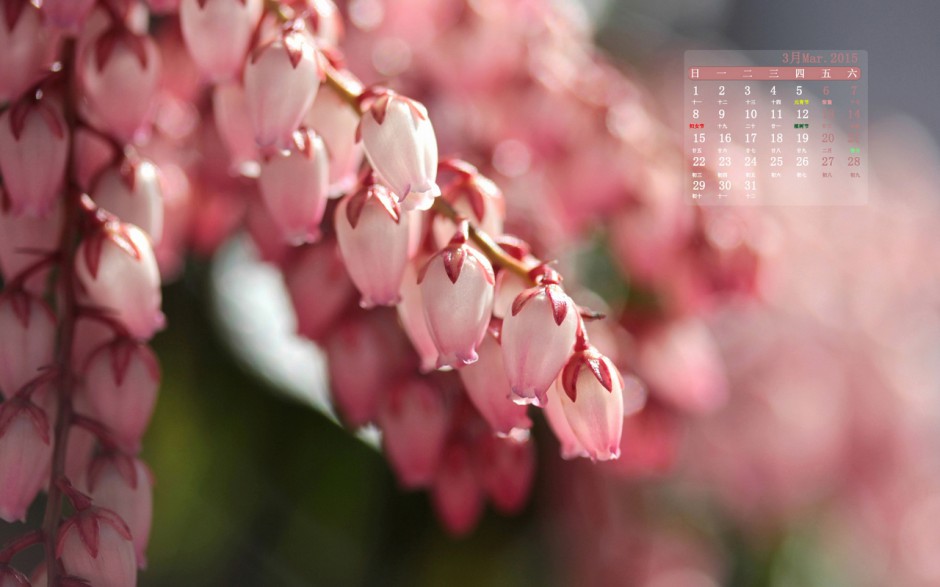 2016年3月日历风景壁纸