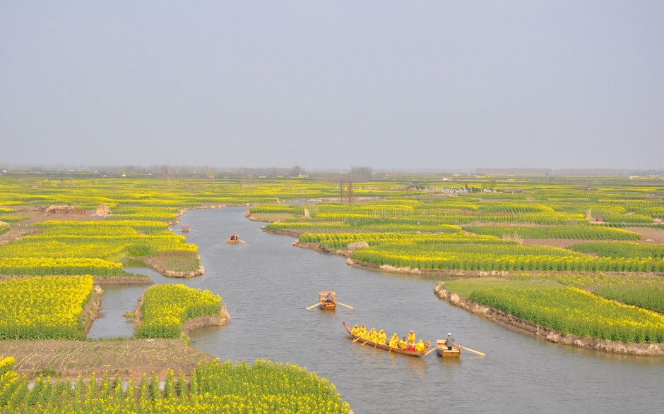 油菜花花田浪漫风景高清精美图集