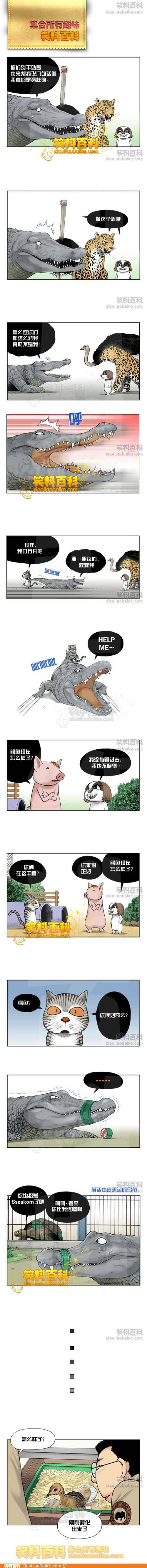 邪恶漫画爆笑囧图第262刊：脑袋与头发的功能