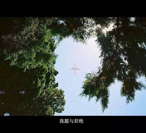 伤感意境图片个性带字