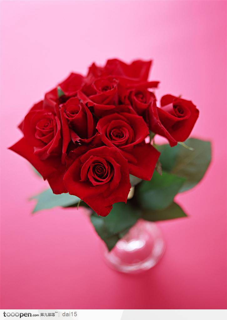 插在花瓶里的火红玫瑰花束
