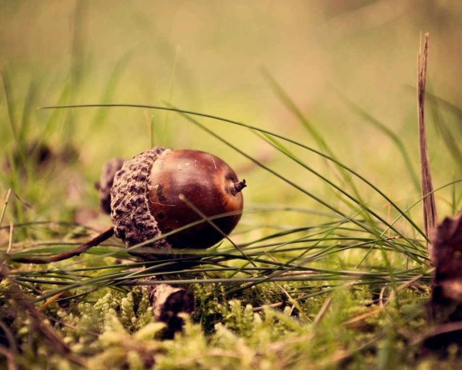 背景图片大全 小清新简约风格素材